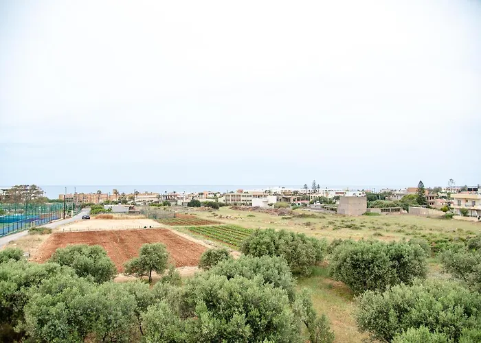 Elegant Near The Sea